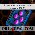À Quoi Sert La Gelée Orale Kamagra 100 Mg 04